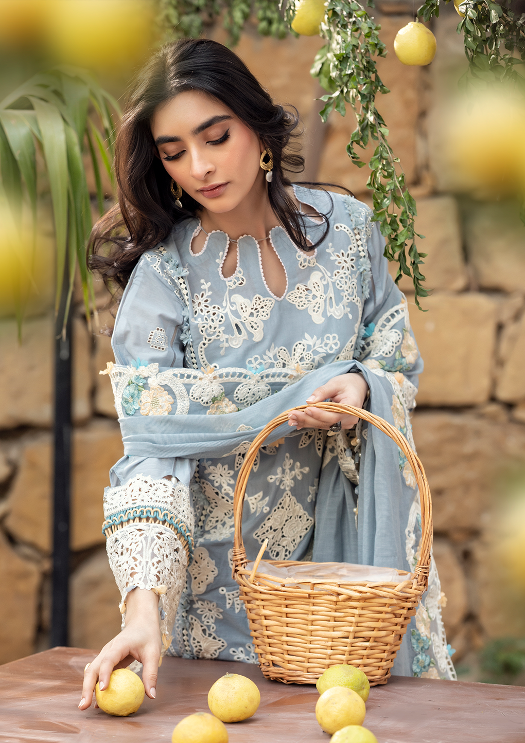 RADIANT EMBROIDERED ORGANZA SLEEVES BORDER