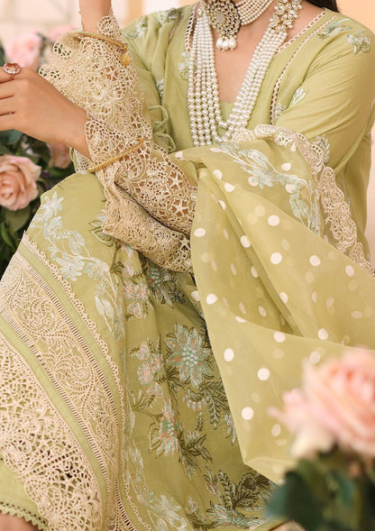 ELP-04A Limelush - Elaf Premium