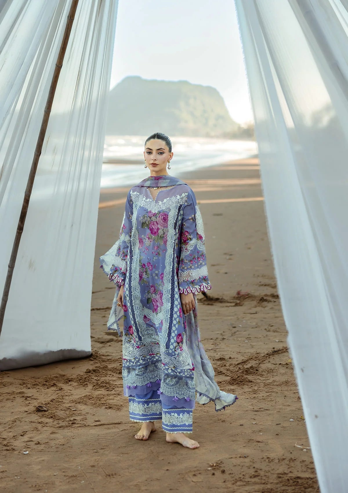Radiant Embroidered Organza Front Daman Border.