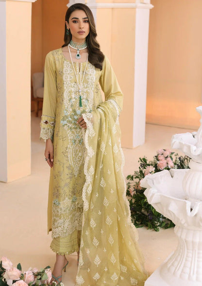 ELP-01B Evelyn - Elaf Premium