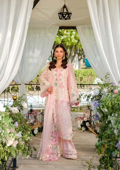 Another front image of beautiful SOPHIA.