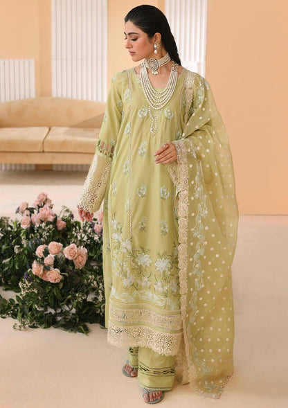 ELP-04A Limelush - Elaf Premium