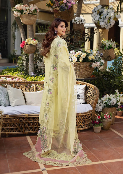 Beautifully designed EMBROIDERED COTTON NET PATCHED DUPATTA.