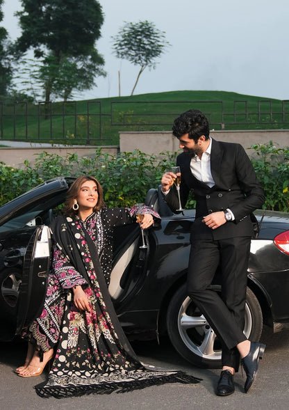 beautiful dress Boundless Dreams from Elaf Winter Pashmina Shawl Collection 2024