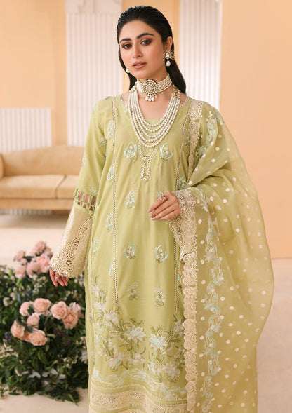 ELP-04A Limelush - Elaf Premium