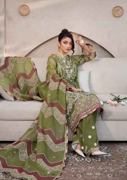 Another front image of PARWAANA in beautiful olive green color.