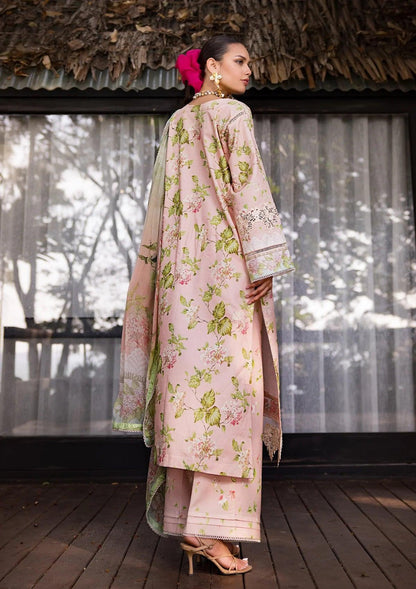 ESL-05B DELIGHT DRAPE - Elaf Premium