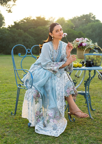 ELY-07 MORNIG DRIZZLE