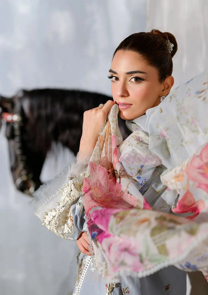 Another front image of beautiful ISSABEL.